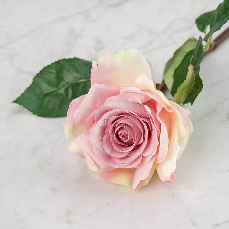 Искусственная роза Джулия нежно-розовая с кремовым Julia Rose Pale Pink With Cream 53 cm