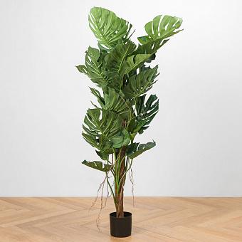 Monstera Tree Trunk 150 cm