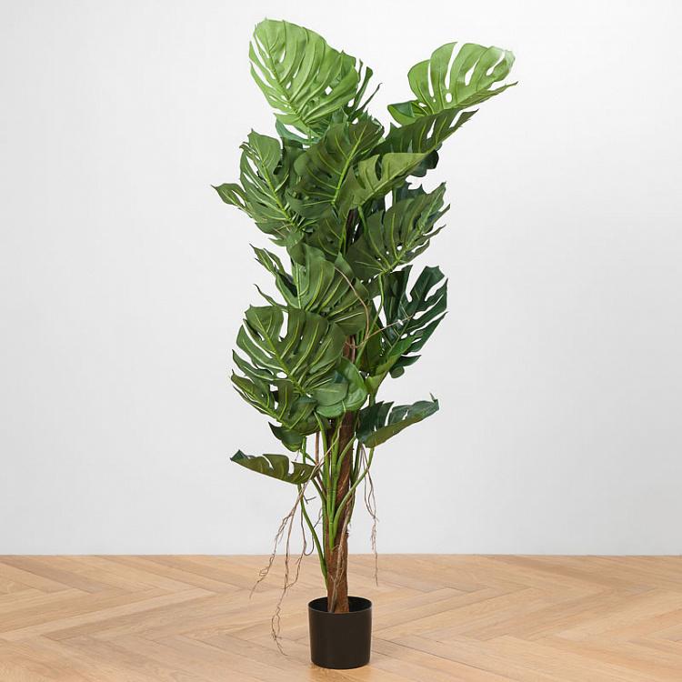 Искусственная монстера на стволе Monstera Tree Trunk 150 cm