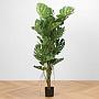 Искусственное растение Monstera Tree Trunk 150 cm