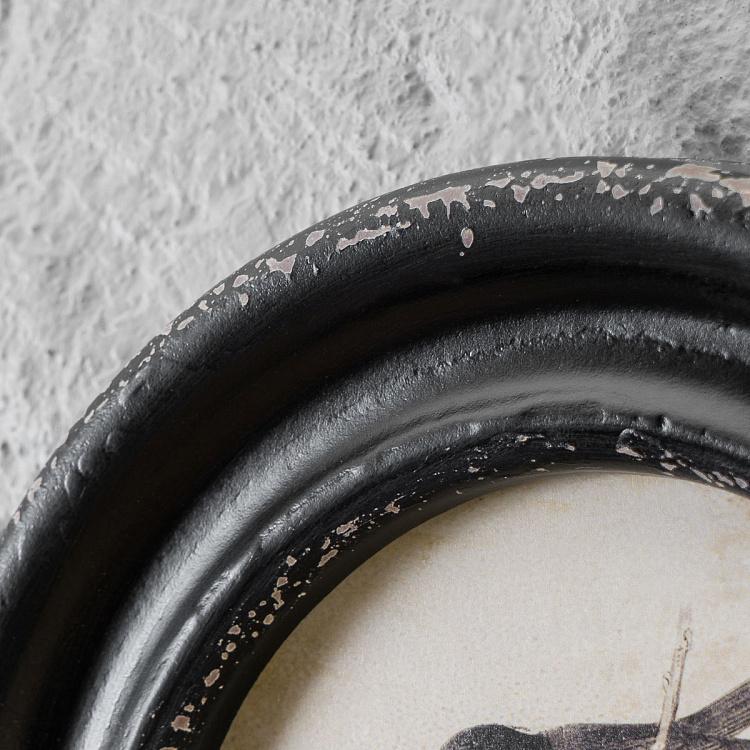 Картина-принт в круглой раме Угольные синицы Mesange Charbonnieres Cadre Rond