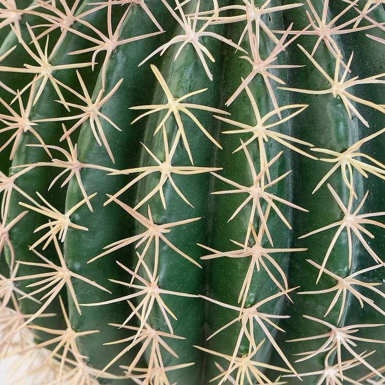 Искусственный кактус Баррель 47 см Barrel Cactus 47 cm