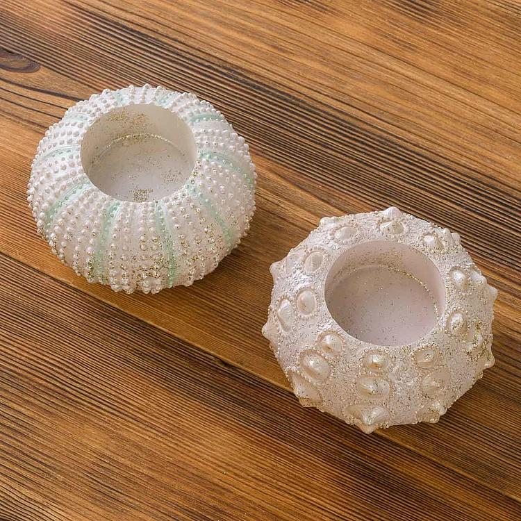 Набор из двух подсвечников Морские ежи Set Of 2 Sea Urchin Votive Holder White Pink