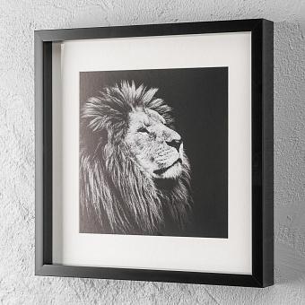 Majesty, Black Box Frame