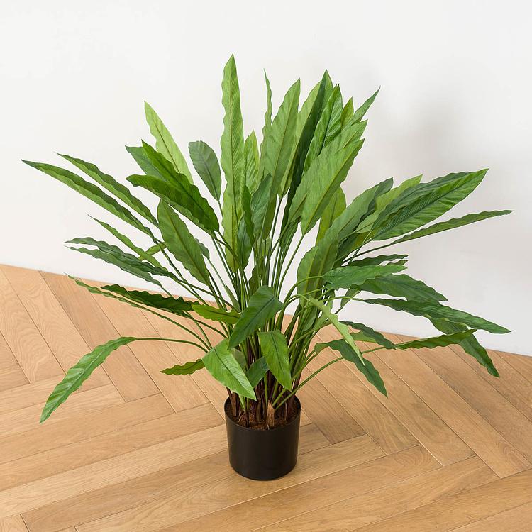 Искусственная калатея Kalatea 75 cm