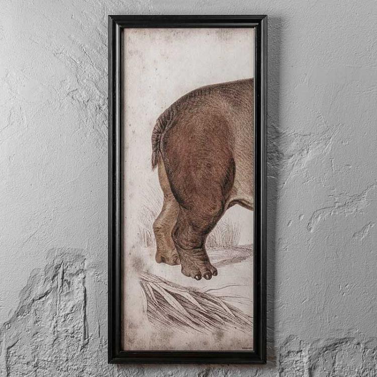 Картина-принт триптих Гиппопотам Set Of 3 Nature Hippo