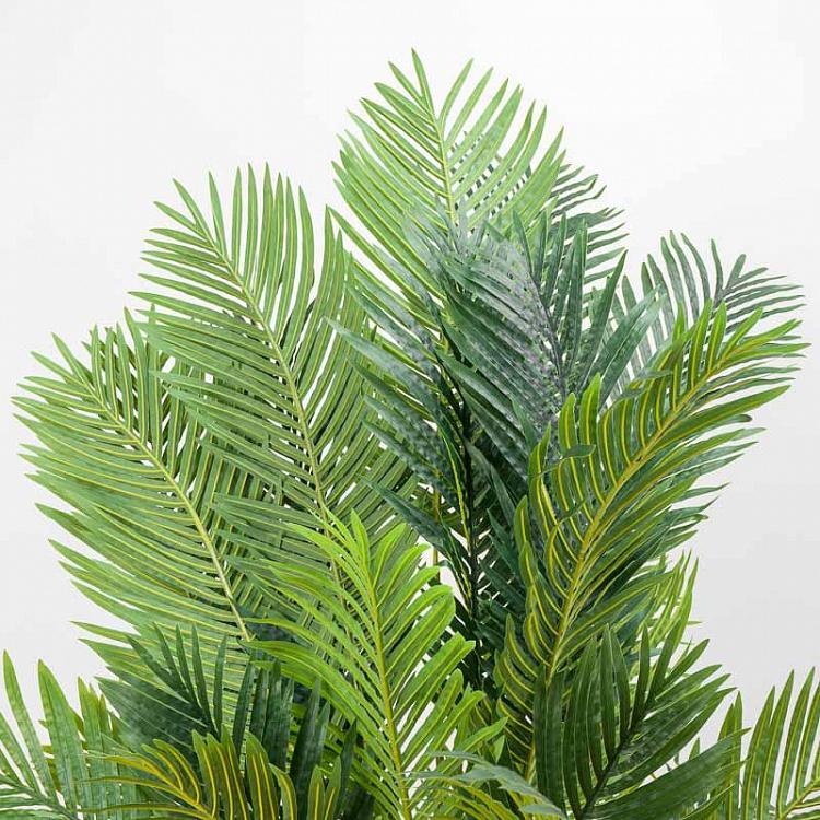 Искусственная пальма Арека Хризалидокарпус, L Areca Chrysalidocarpus Palm 170 cm