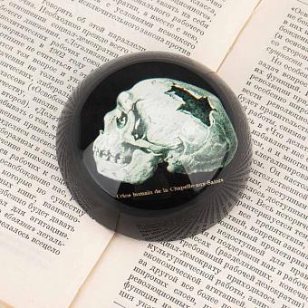 Glass Paperweight Skull