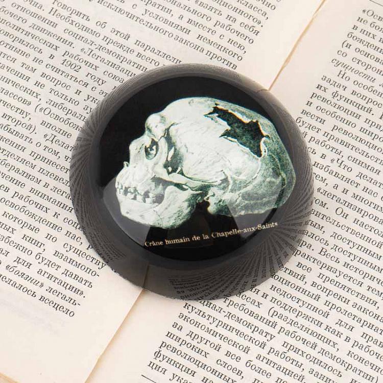 Пресс-папье с изображением черепа Glass Paperweight Skull