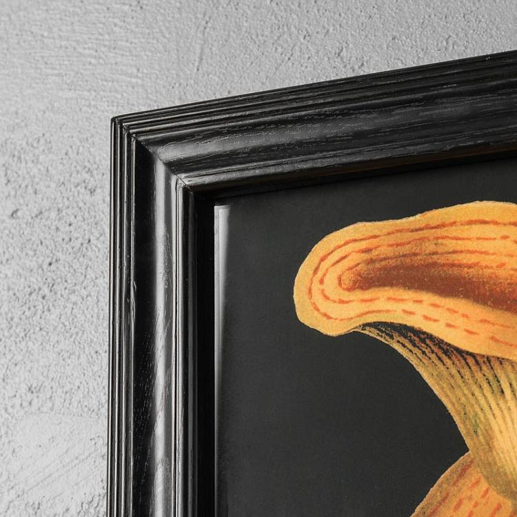 Картина-принт Грибы Mushrooms