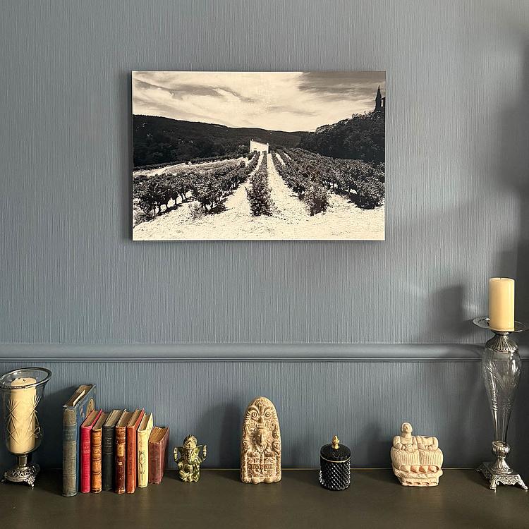 Фотография Гедонизм Hedonism Photo