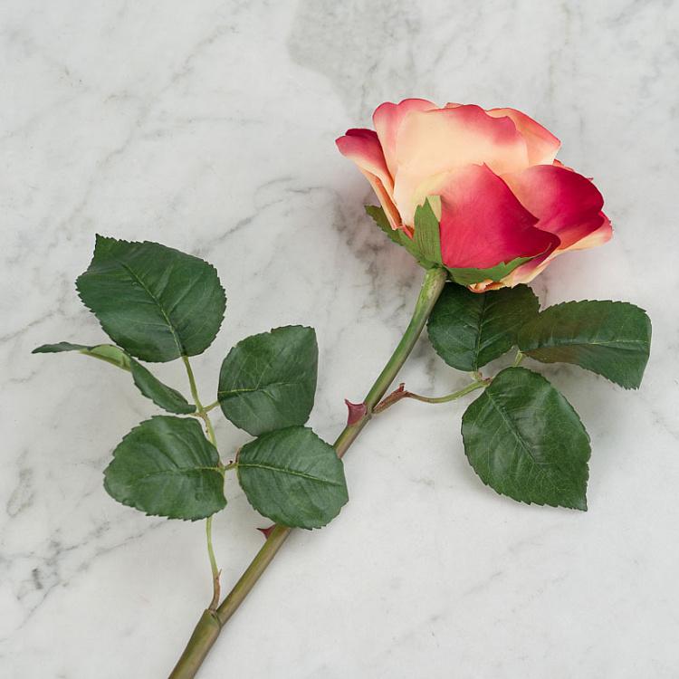 Искусственная роза Верди бледно-персиковая с малиновым Verdi Rose Pale Peach With Crimson 58 cm