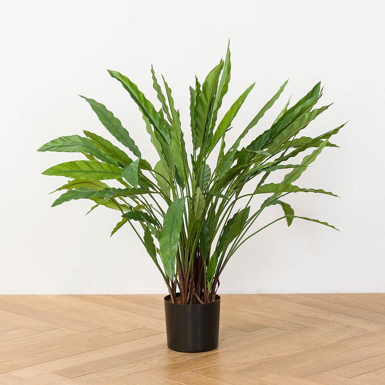 Искусственная калатея Kalatea 75 cm