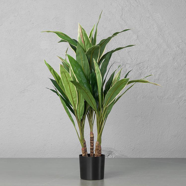 Искусственная Кордилина 5 Stems Cordyline 73 cm