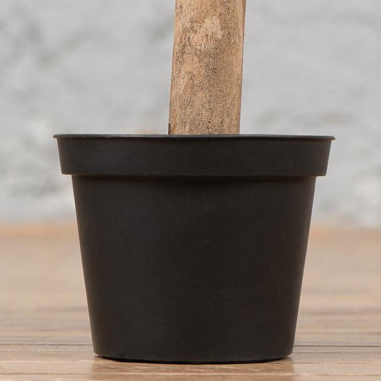 Искусственный самшит в форме шара Boxwood Ball 30 cm