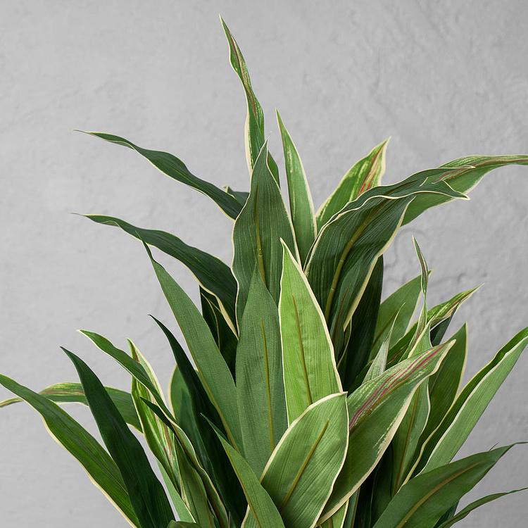 Искусственная Кордилина 5 Stems Cordyline 73 cm