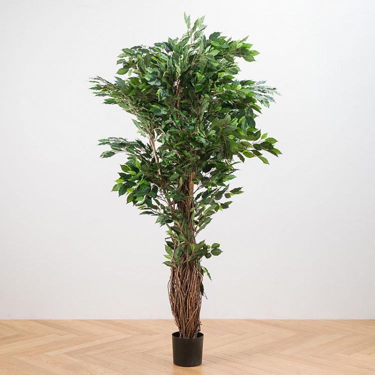Искусственный фикус Лиана Де люкс, L De Luxe Ficus Liana 180 cm