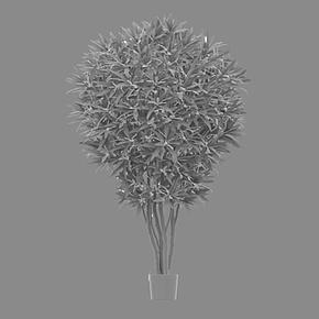 Искусственное дерево Jamaica Dracaena Reflexa 145 cm