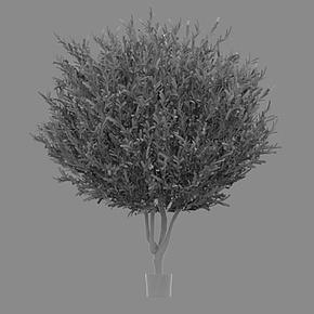 Искусственное дерево G-Forest Olive With Fruits 210 cm