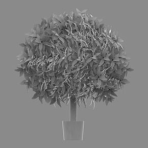 Искусственное растение Laurel Ball Tree 60 cm 