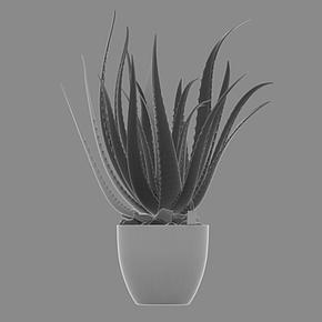 Искусственное растение Aloe 67 cm